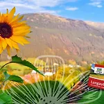 Hoamatgfuehl-mauterndorf Neu Ab Dezember 2025 * Mauterndorf (Salzburg)