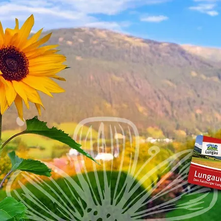 Hoamatgfuehl-mauterndorf Neu Ab Dezember 2025 * ماوترندورف